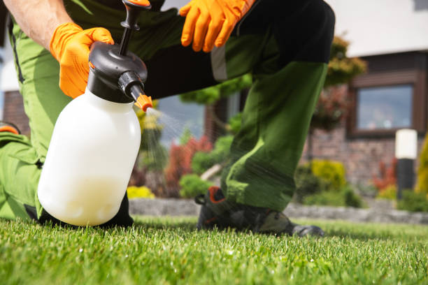 Best Commercial Pest Control Services  in Ordway, CO