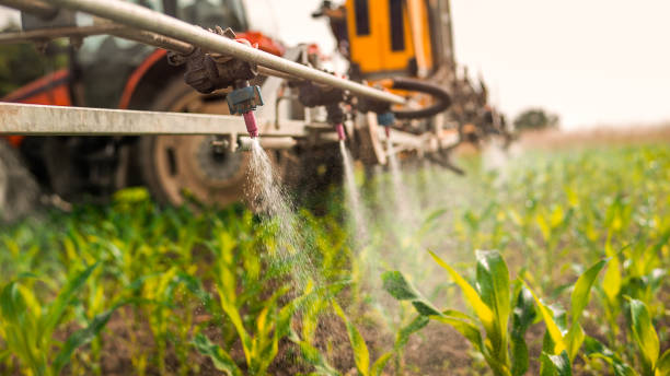 Best Best Pest Control Companies  in Ordway, CO